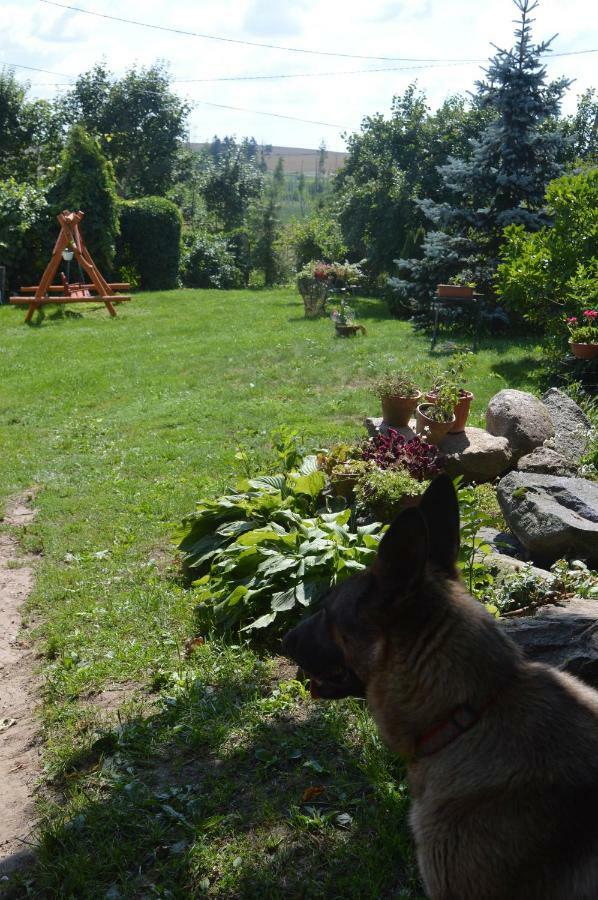 Agroturystyka 'Pod Debem' Gizycko Luaran gambar